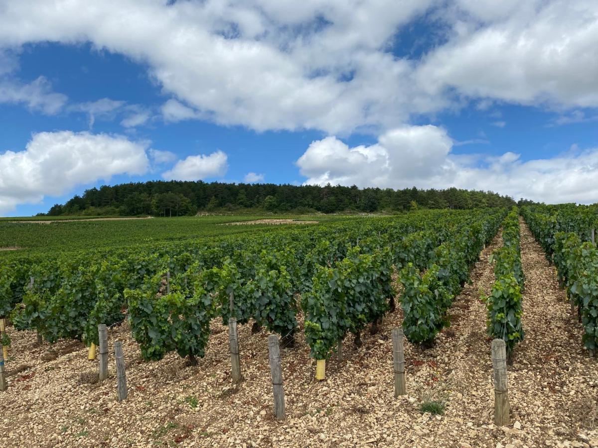 Le Cristallin Gite Plein Coeur De Chablis Luaran gambar